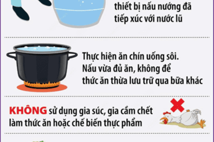 MẶT TRẬN - ĐOÀN THỂ
